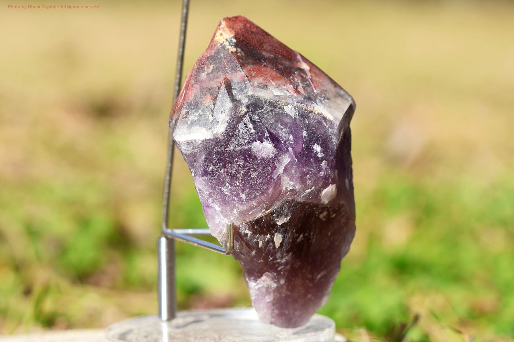 オーラスターライト23 側面からの写真