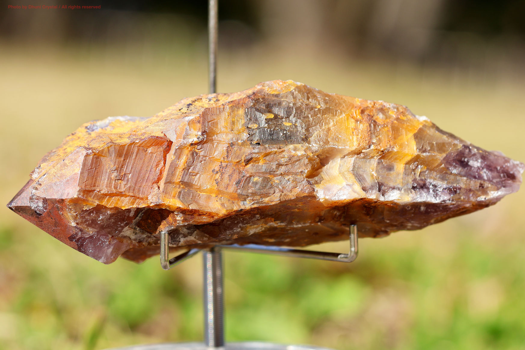 ゴールデン・オーラスターライト/原石ワンド/レインボーフレームあり