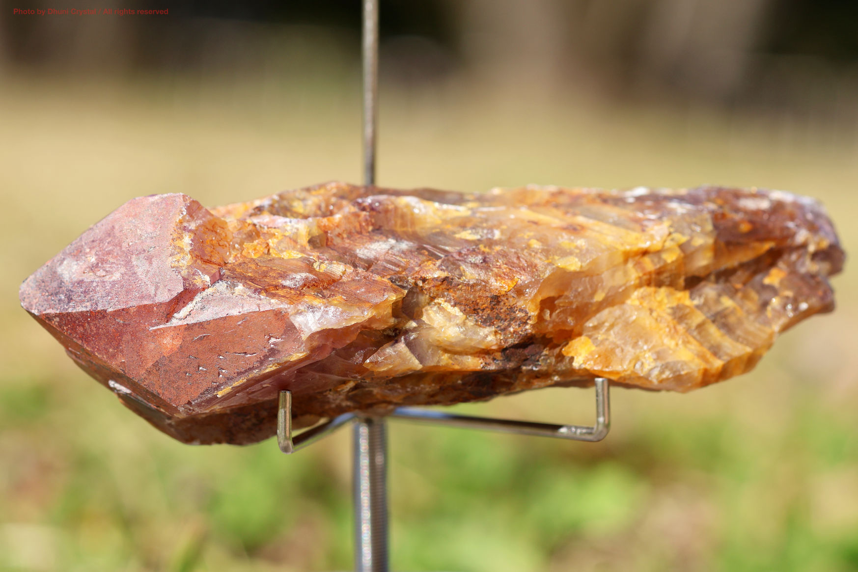 天然　ゴールデンオーラ　原石　希少 ゴールデン・オーラスターライト/原石ワンド/レインボーフレームあり