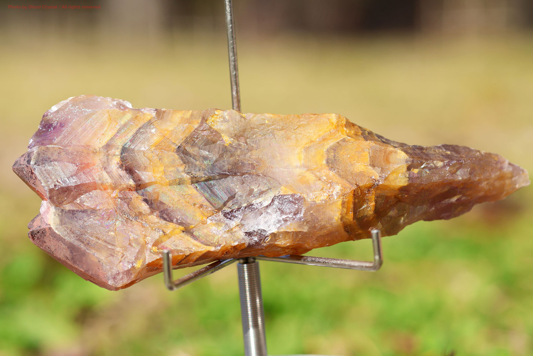 天然　ゴールデンオーラ　原石　希少 ゴールデン・オーラスターライト/原石ワンド/レインボーフレームあり