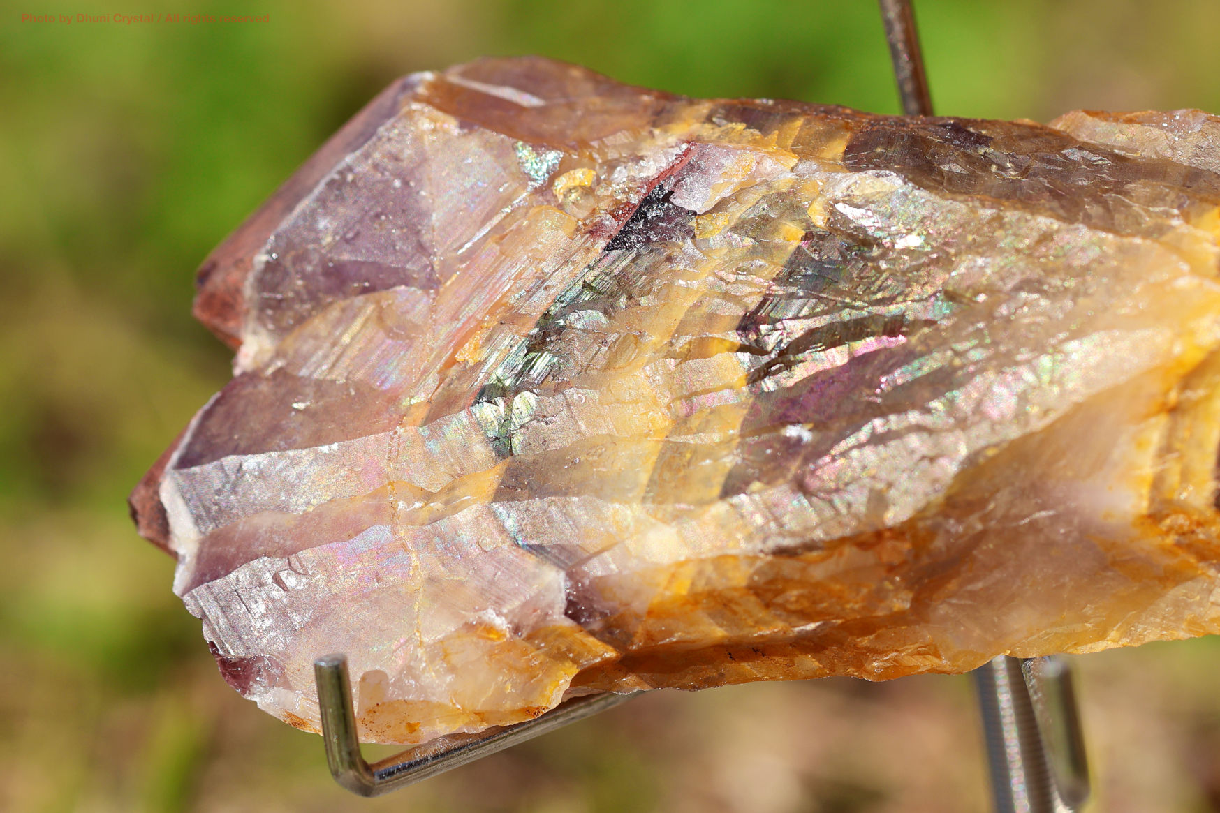 ゴールデン・オーラスターライト/原石ワンド/レインボーフレームあり