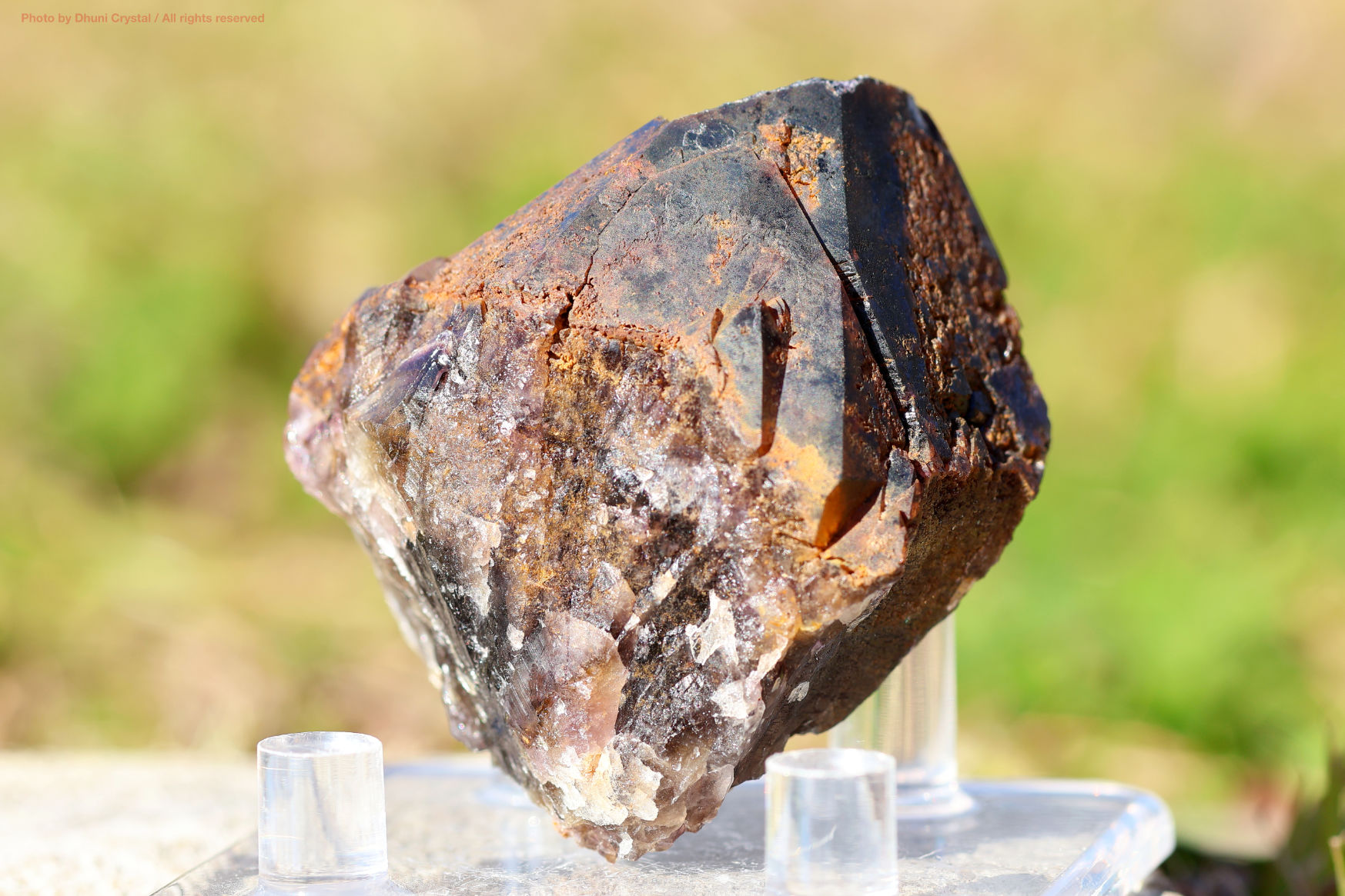 オーラスターライト23 側面からの写真