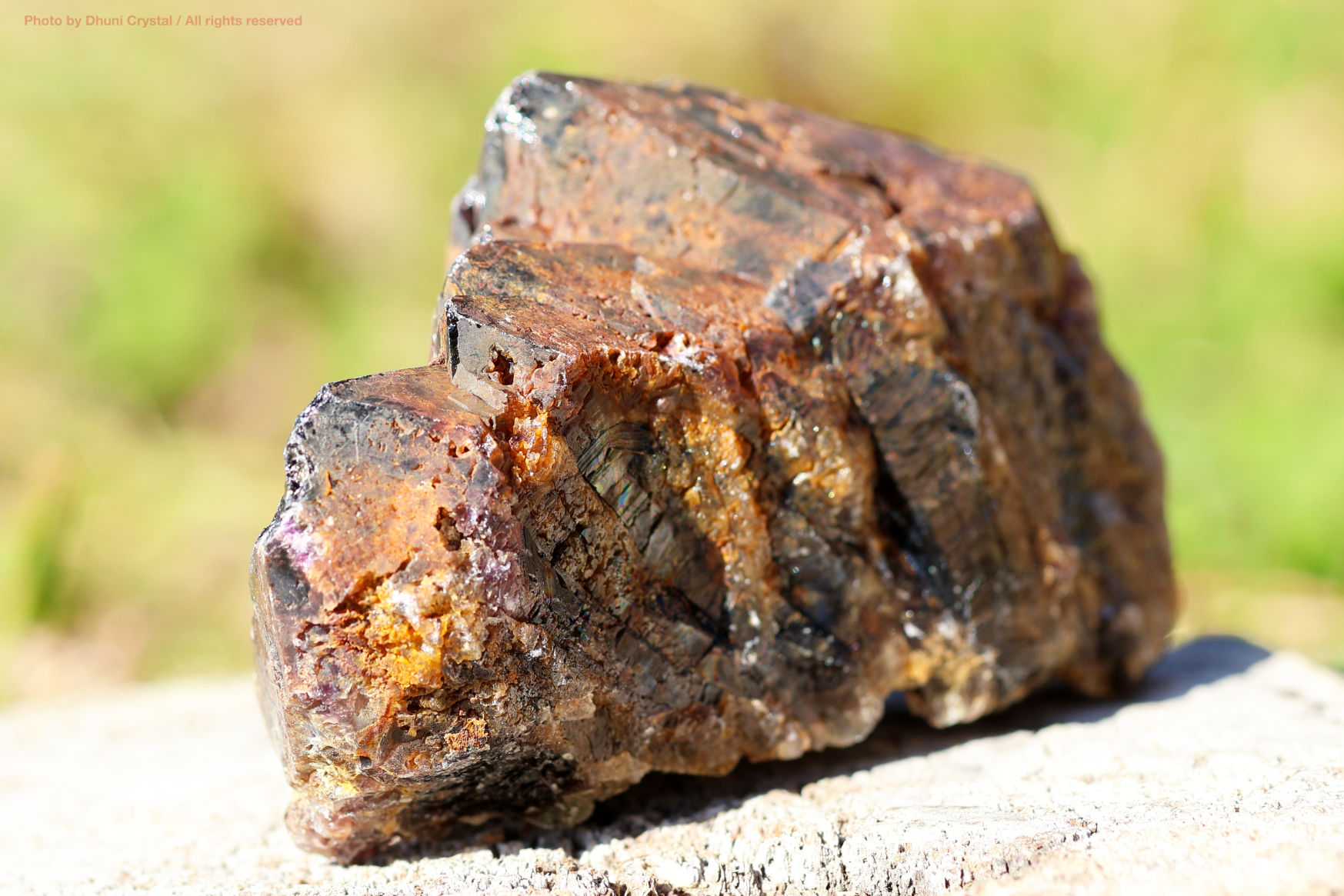 オーラスターライト23 側面からの写真