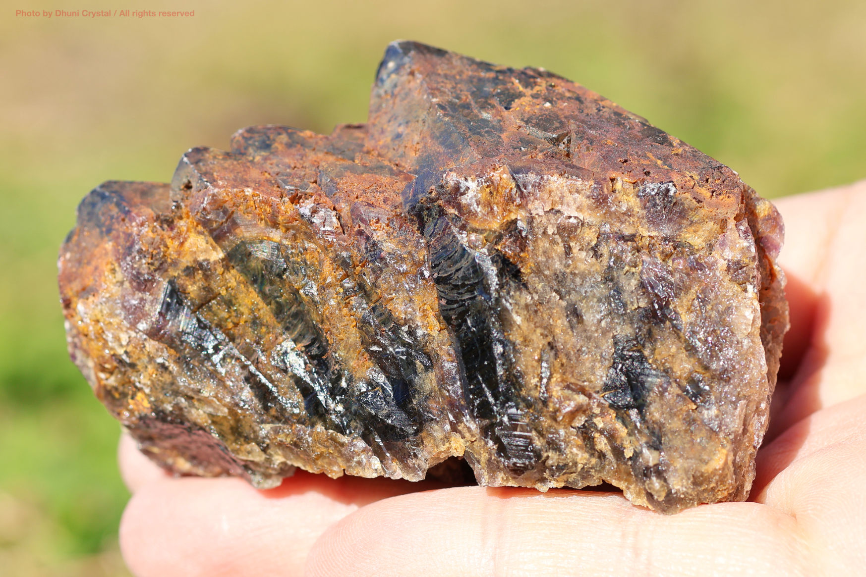 オーラスターライト23 側面からの写真