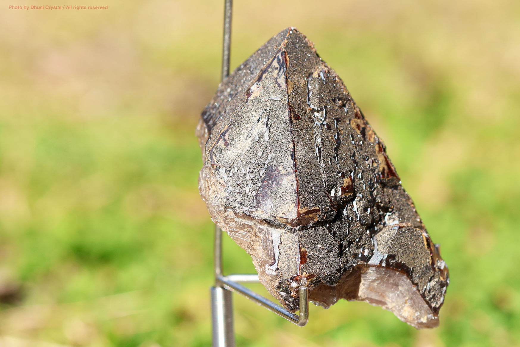 オーラスターライト23 側面からの写真