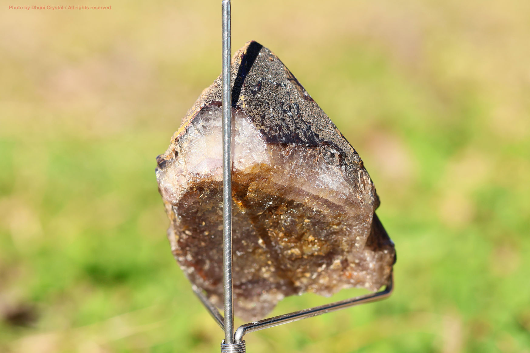 オーラスターライト23 側面からの写真