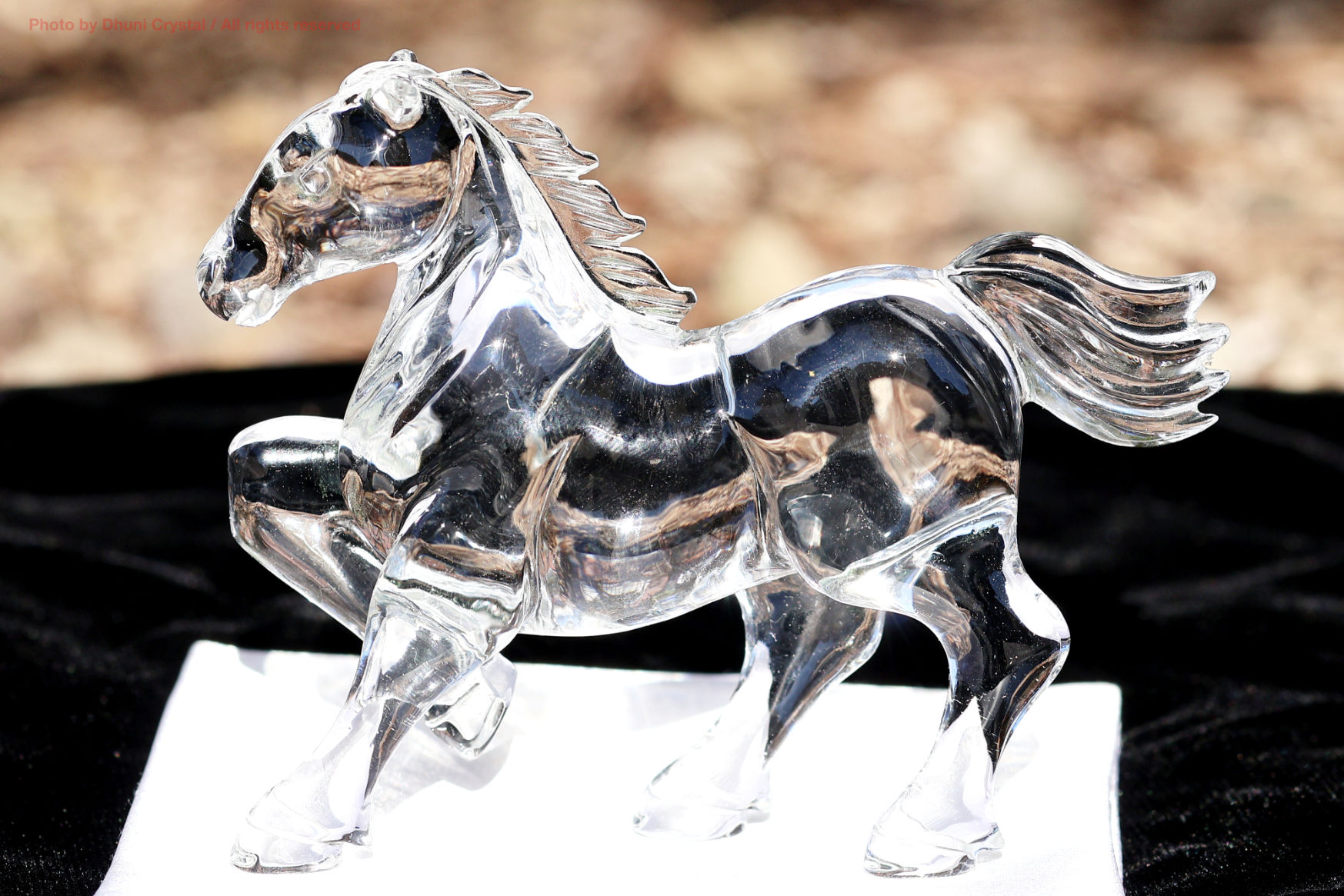 水晶の馬 カービング｜クリスタルホース｜透明な浄化と前進の守護石