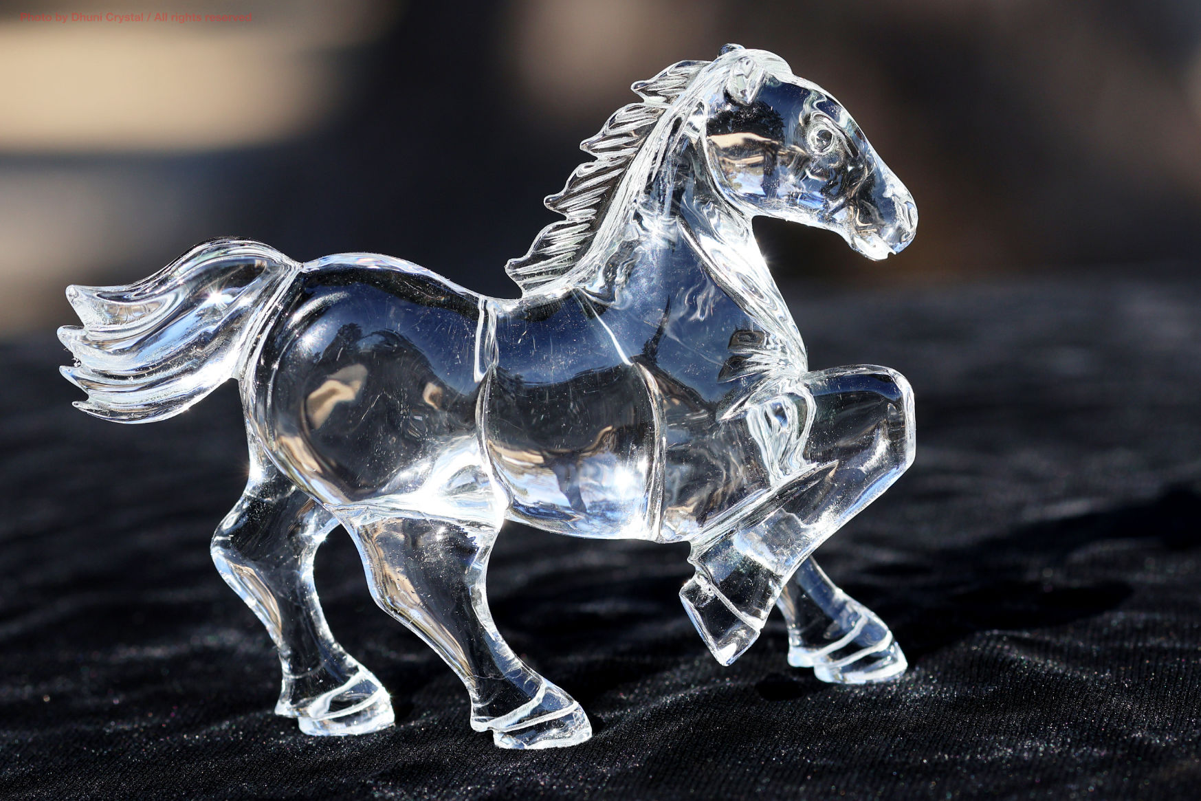 水晶の馬 カービング｜クリスタルホース｜透明な浄化と前進の守護石