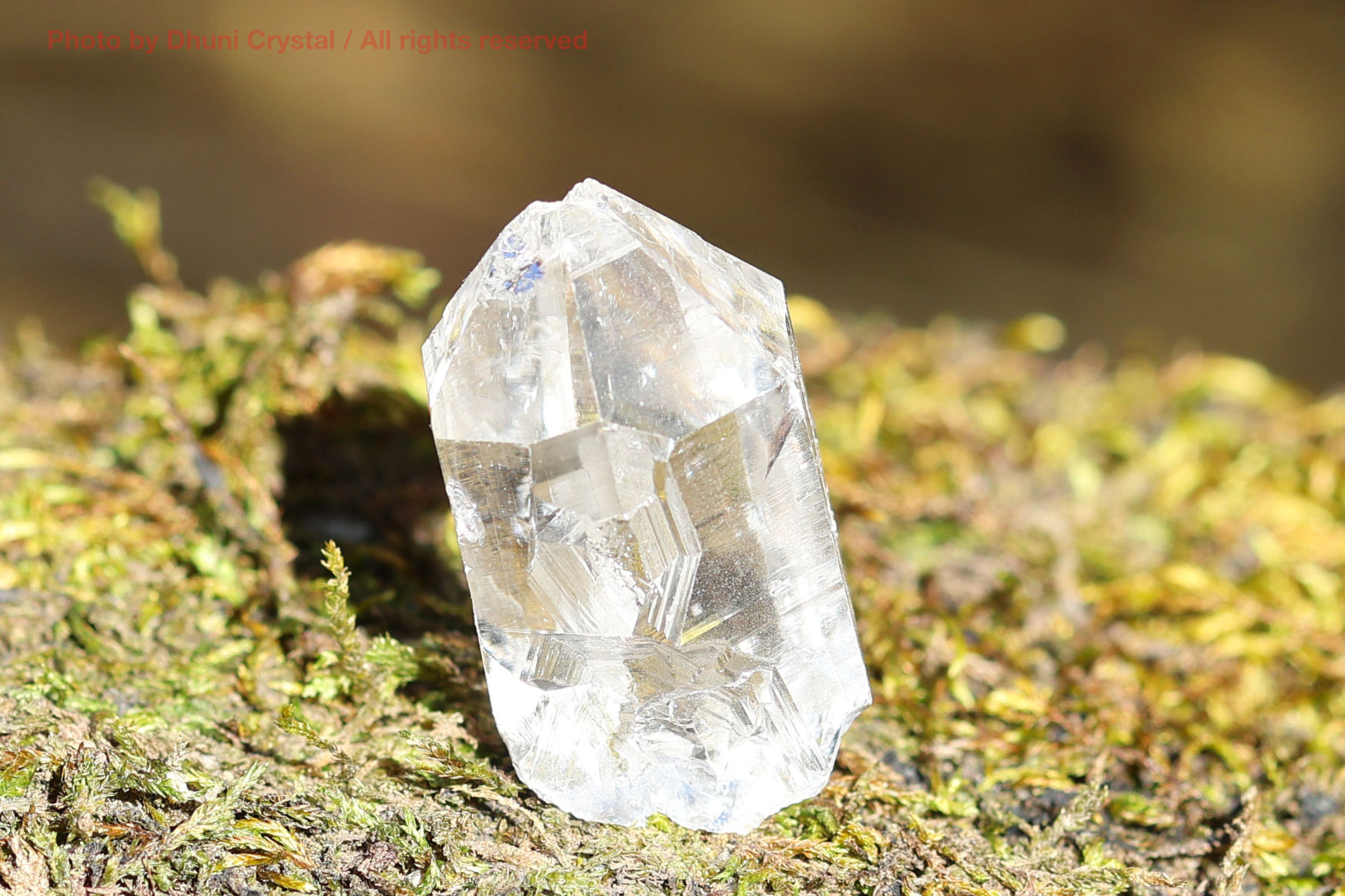 マニハール産ヒマラヤ水晶の斜めから見た結晶の透明感