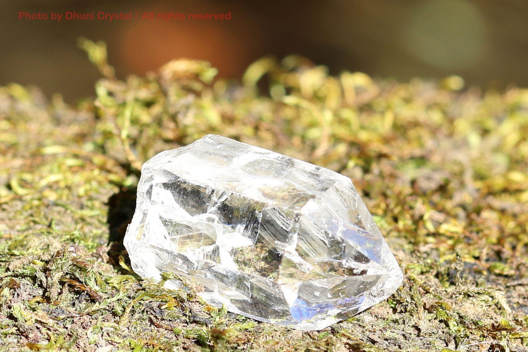 マニハール産ヒマラヤ水晶の裏面からの結晶の様子