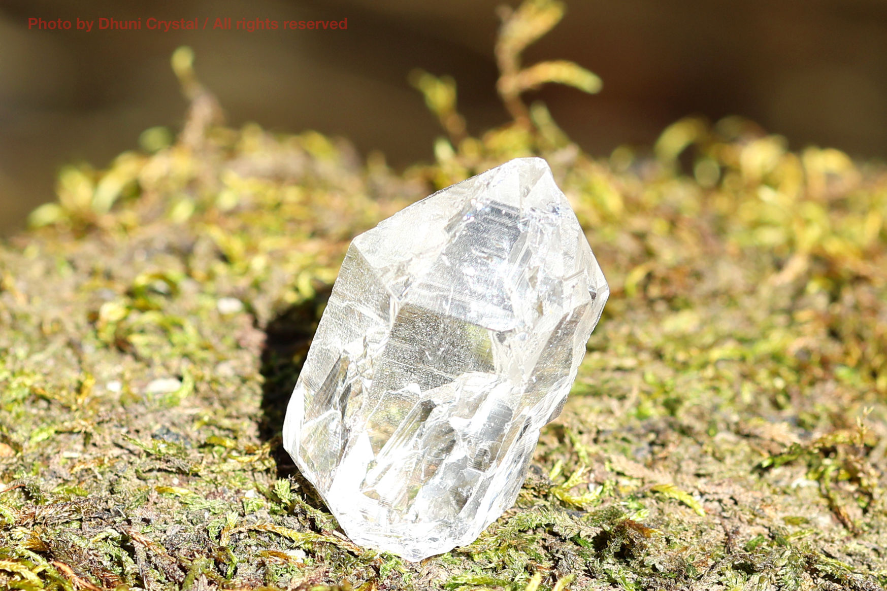 マニハール産ヒマラヤ水晶のアップで見た内部インクルージョン