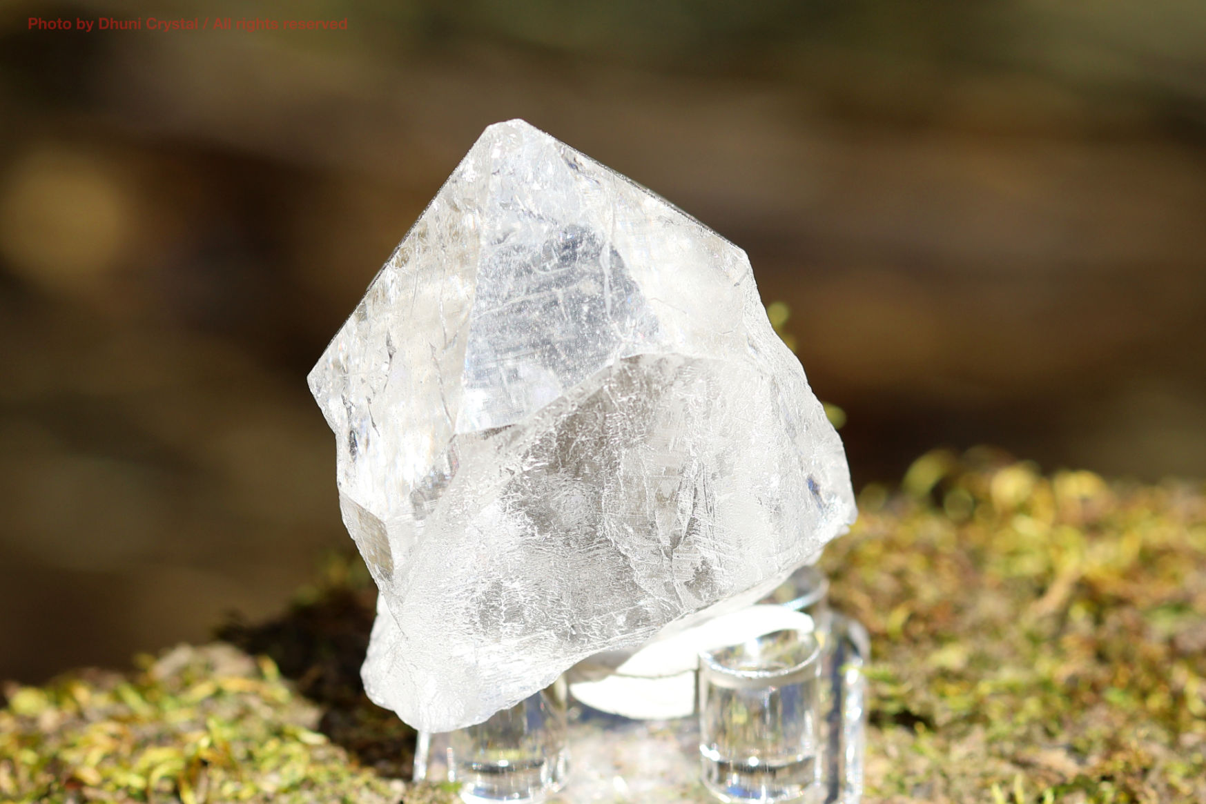 マニハール産ヒマラヤ水晶の斜めから見た結晶の透明感