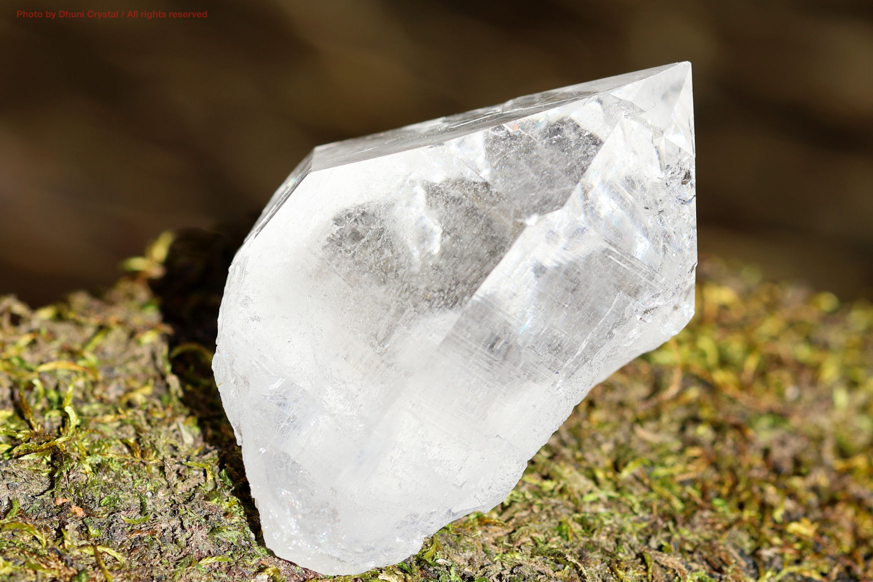 マニハール産ヒマラヤ水晶の斜めから見た結晶の透明感