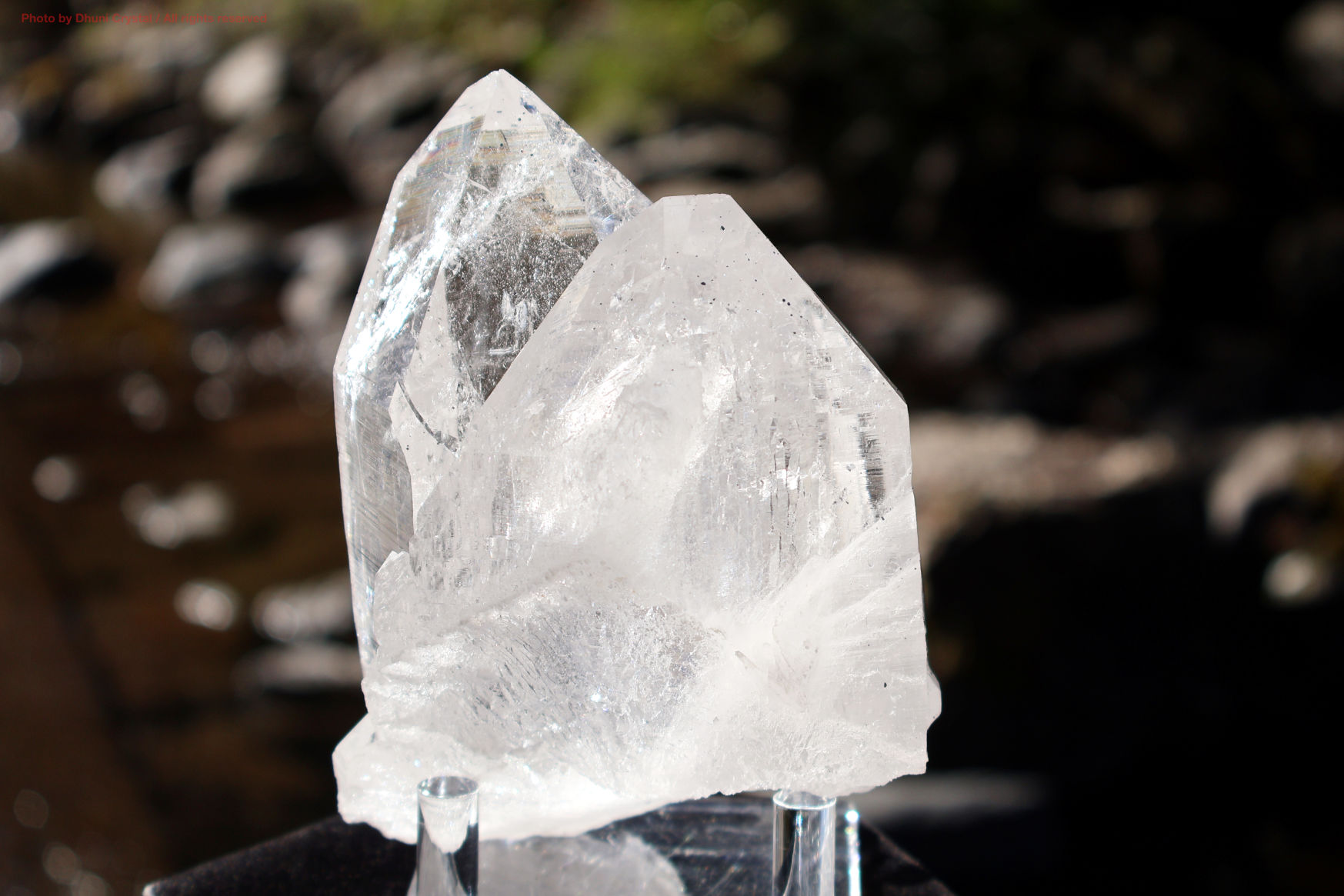 マニハール産ヒマラヤ水晶の斜めから見た結晶の透明感