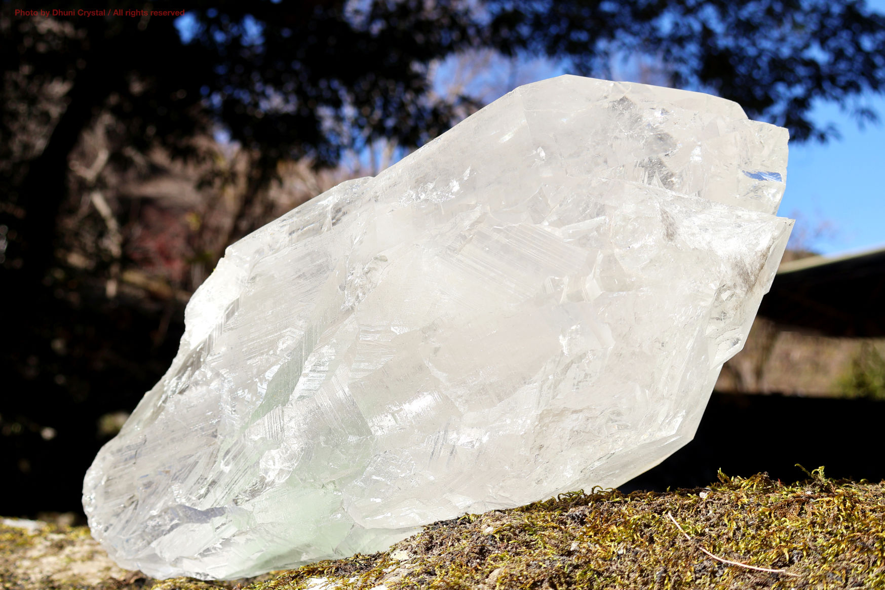 マニハール産 ヒマラヤ水晶 原石｜透明度抜群のクリスタル