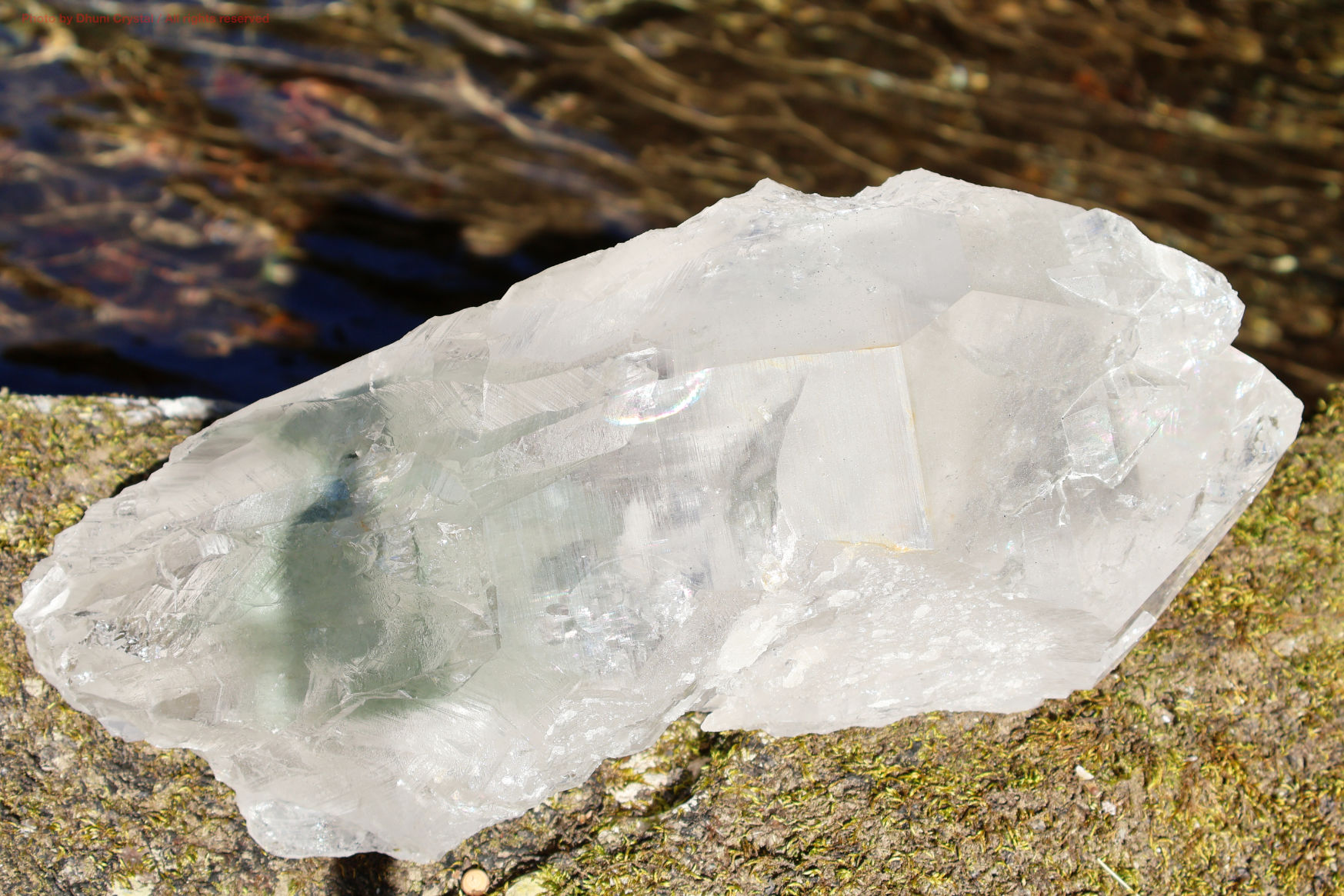 マニハール産ヒマラヤ水晶の斜めから見た結晶の透明感