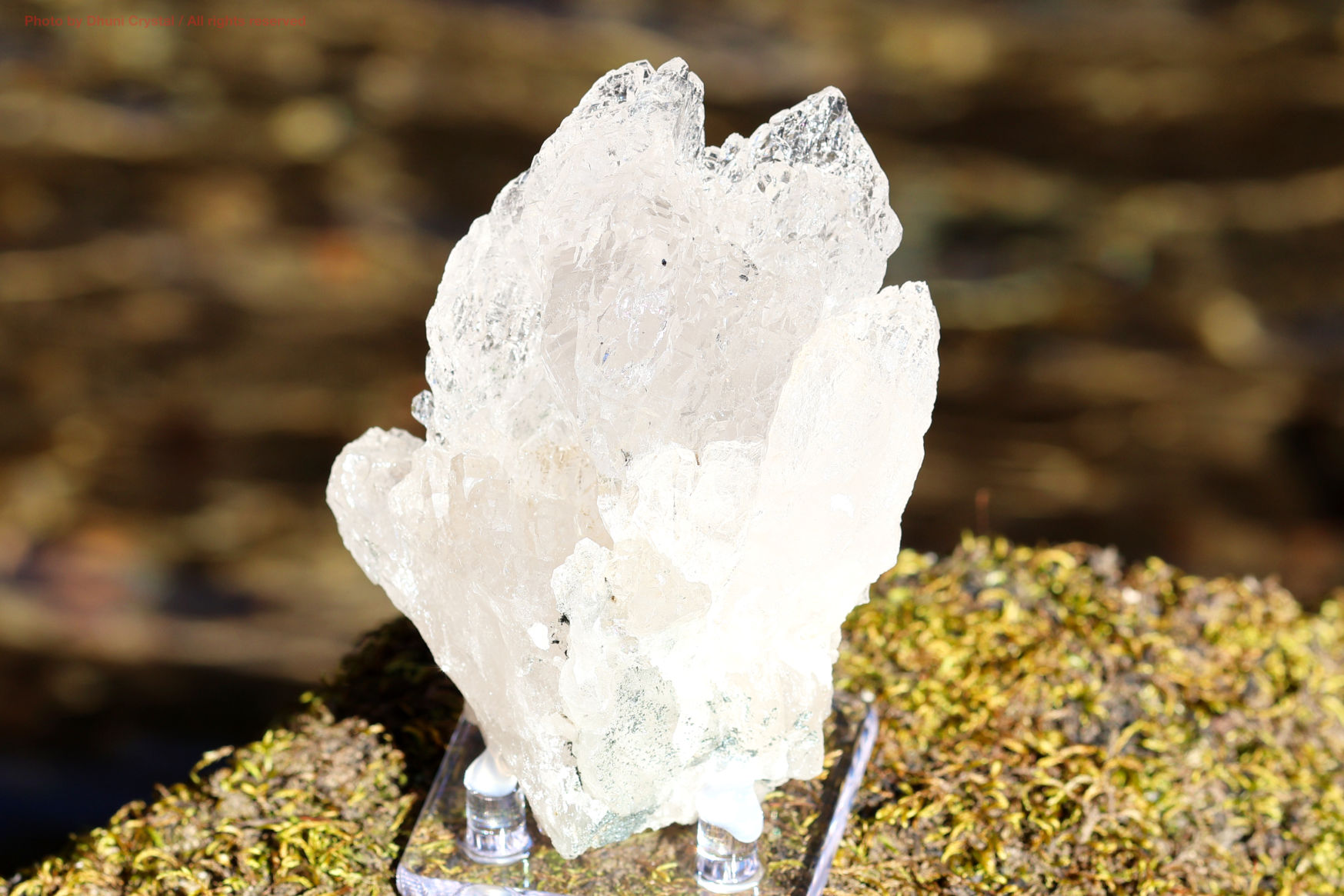 ホワイトローズカルサイト チャルコパイライト共生 鉱物標本