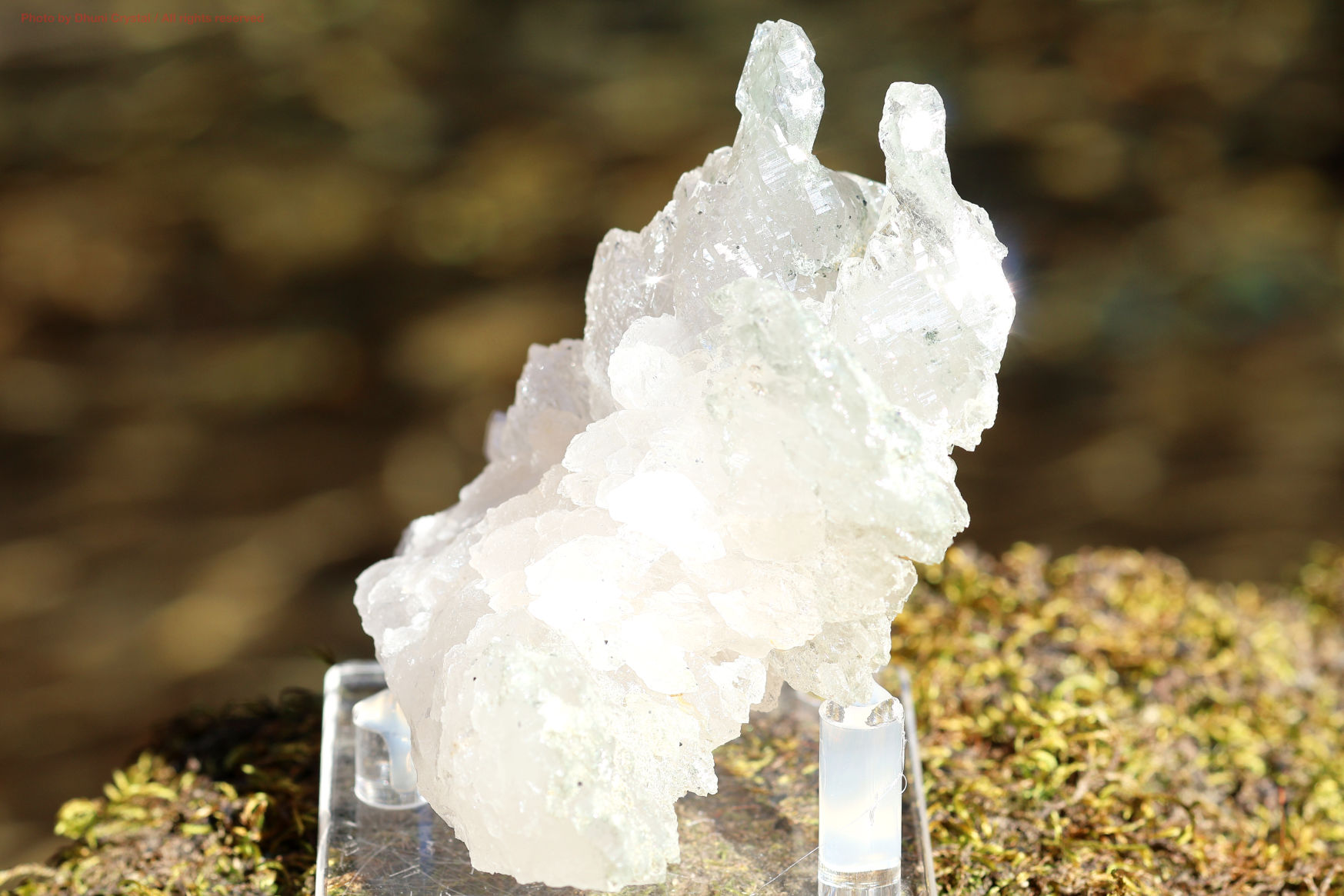 マニハール産ヒマラヤ水晶の斜めから見た結晶の透明感