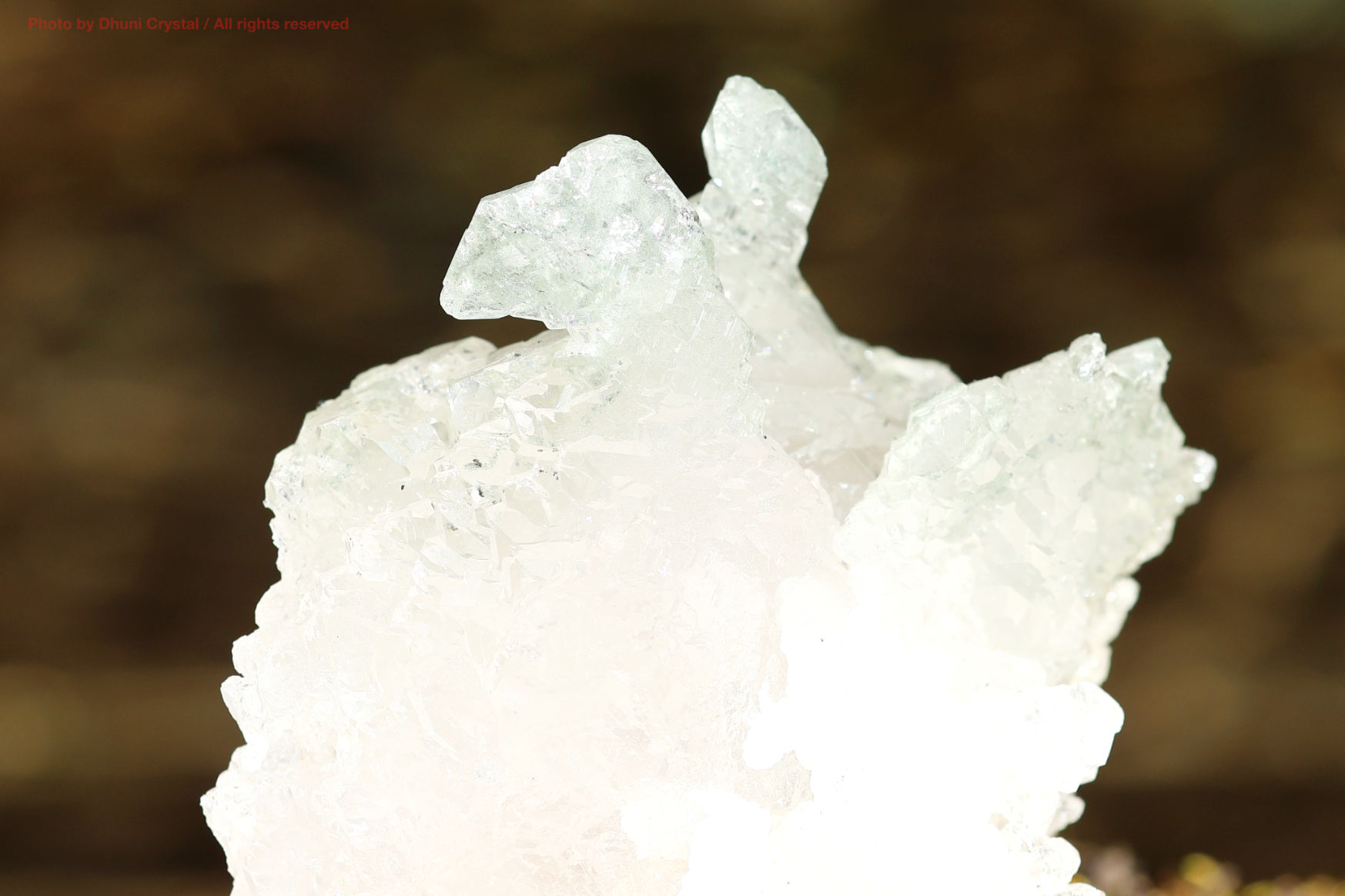 マニハール産ヒマラヤ水晶の裏面からの結晶の様子