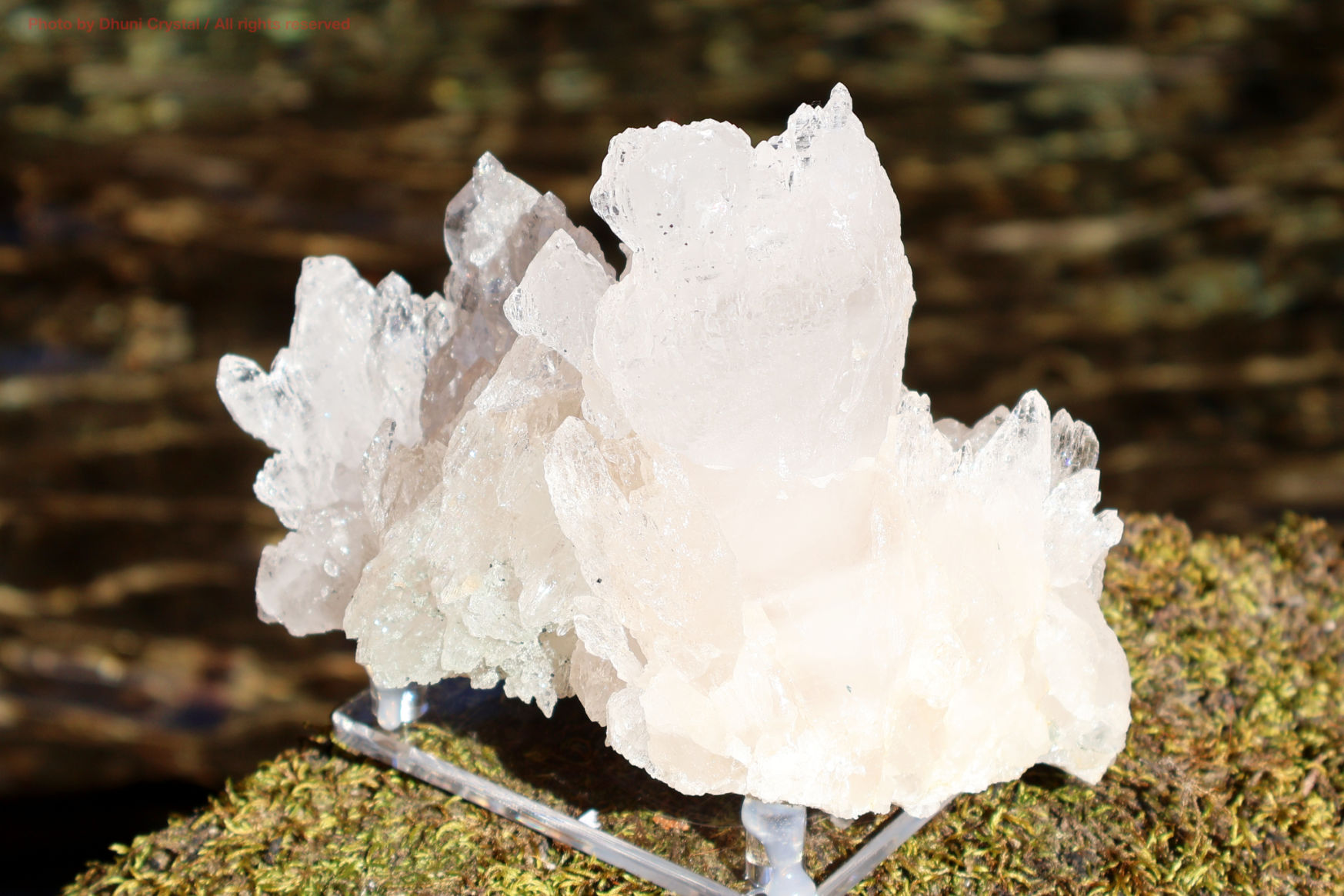 マニハール産ヒマラヤ水晶の斜めから見た結晶の透明感