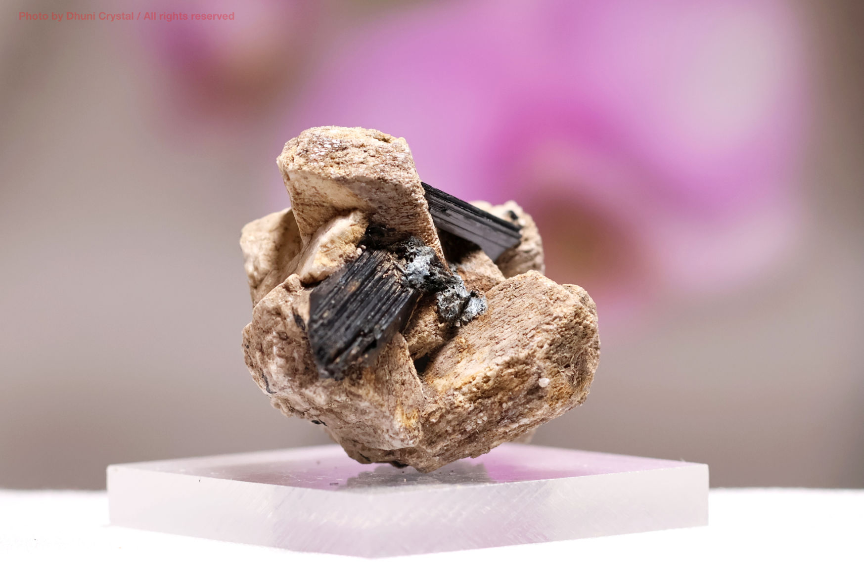 エジリン結晶の側面画像