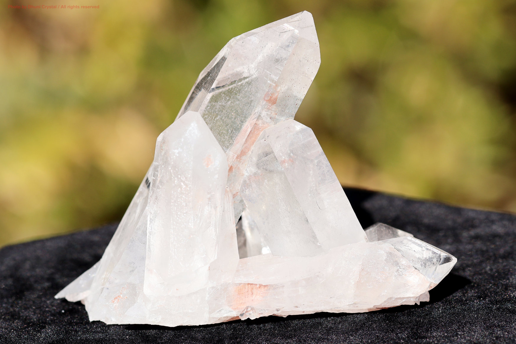 ヒマラヤ水晶｜マニカラン産ピンククラスター｜淡い癒しの輝き