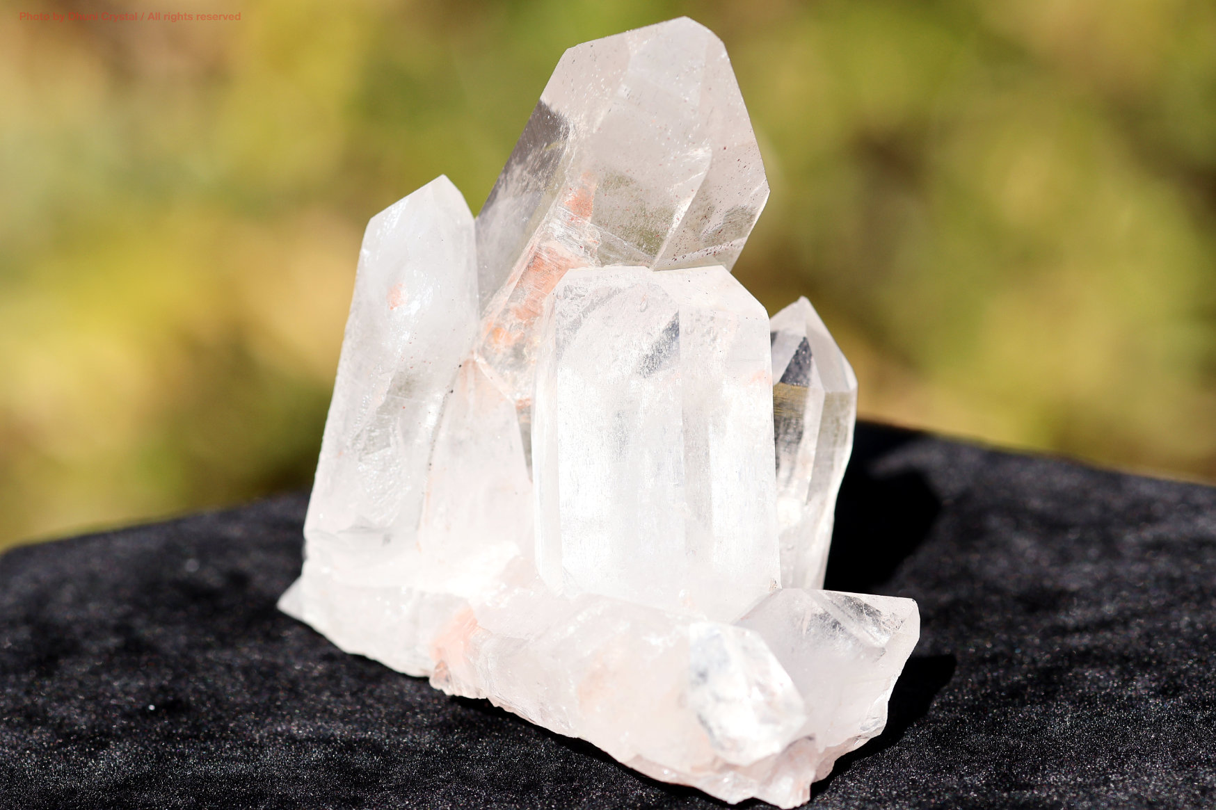 マニカラン水晶　クリスタル　クォーツ　ヒマラヤ ヒマラヤ水晶｜マニカラン産ピンククラスター｜淡い癒しの輝き