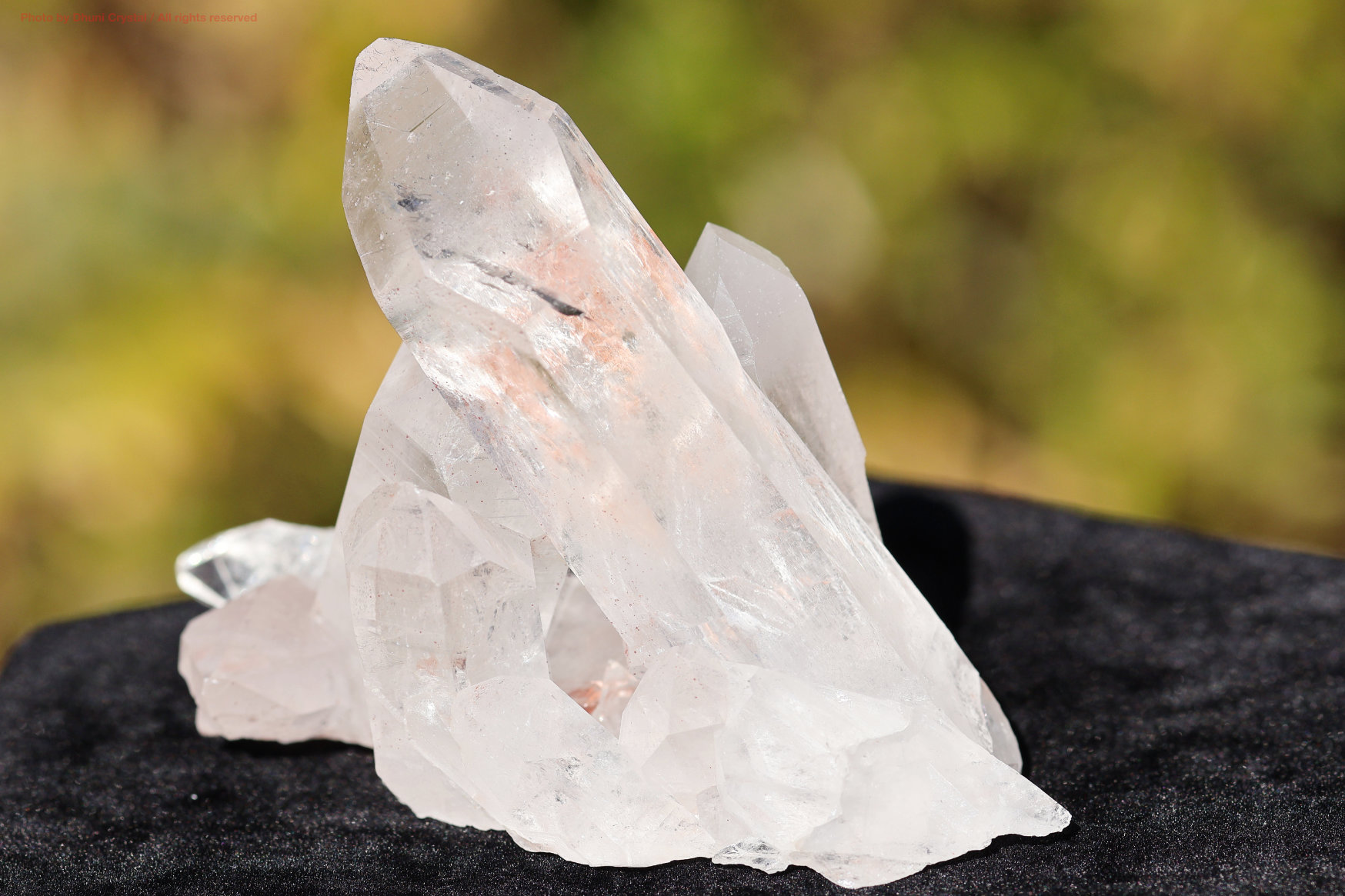 ピンクヒマラヤクォーツクラスター 特別価格/インド/マニカラン産]ヒマラヤ水晶クラスター/原石（ピンク