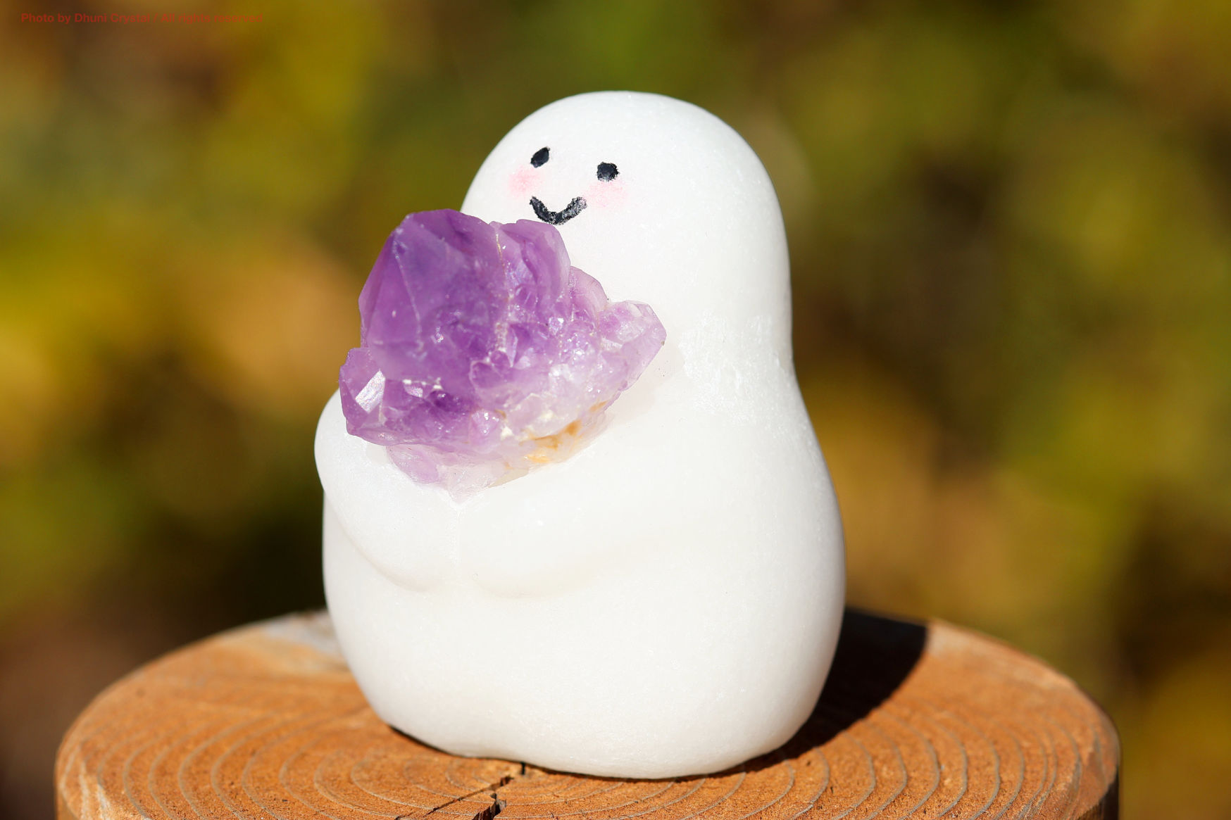 しらたまちゃんの側面写真