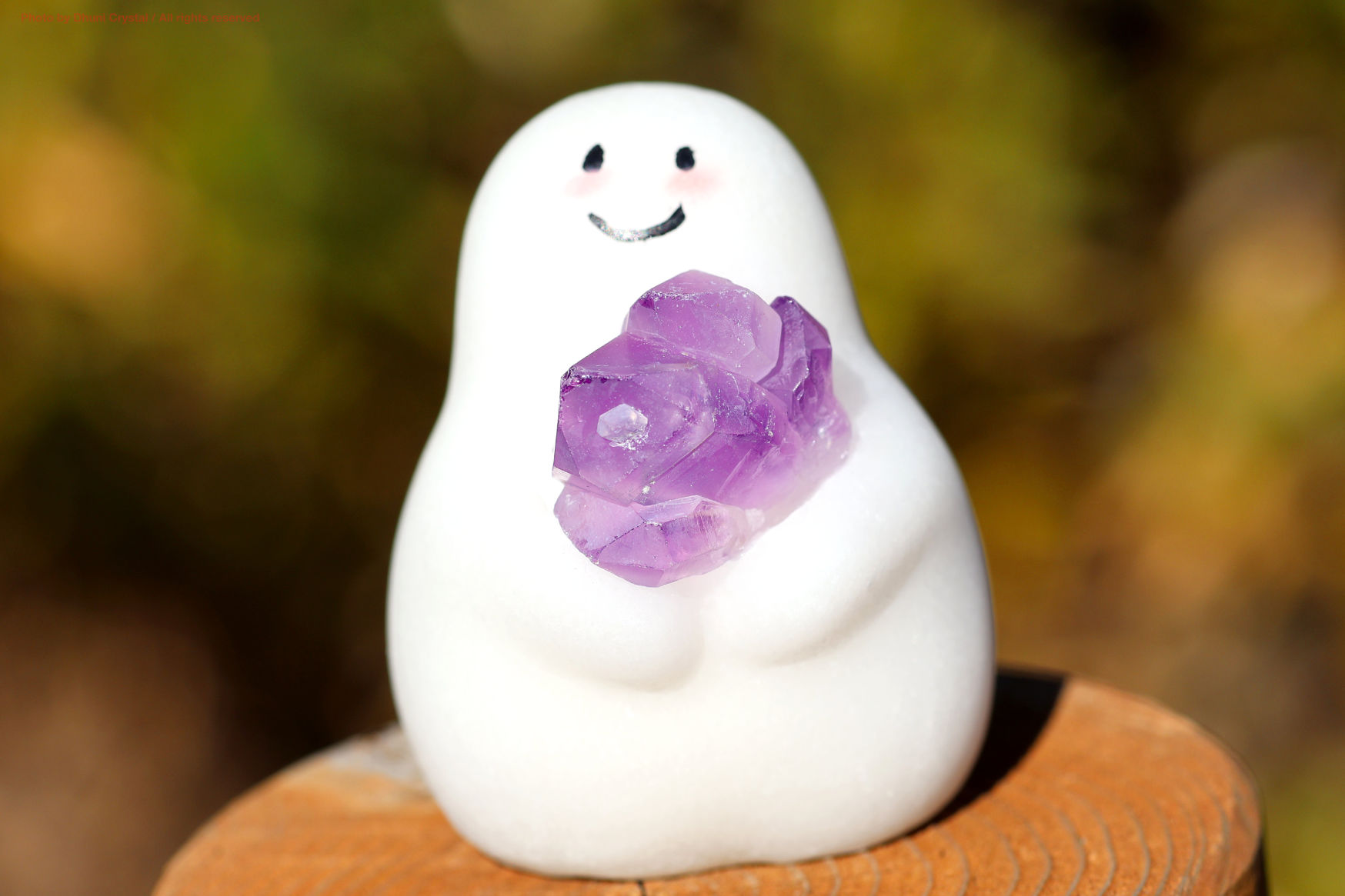 しらたまちゃんの正面写真” loading=