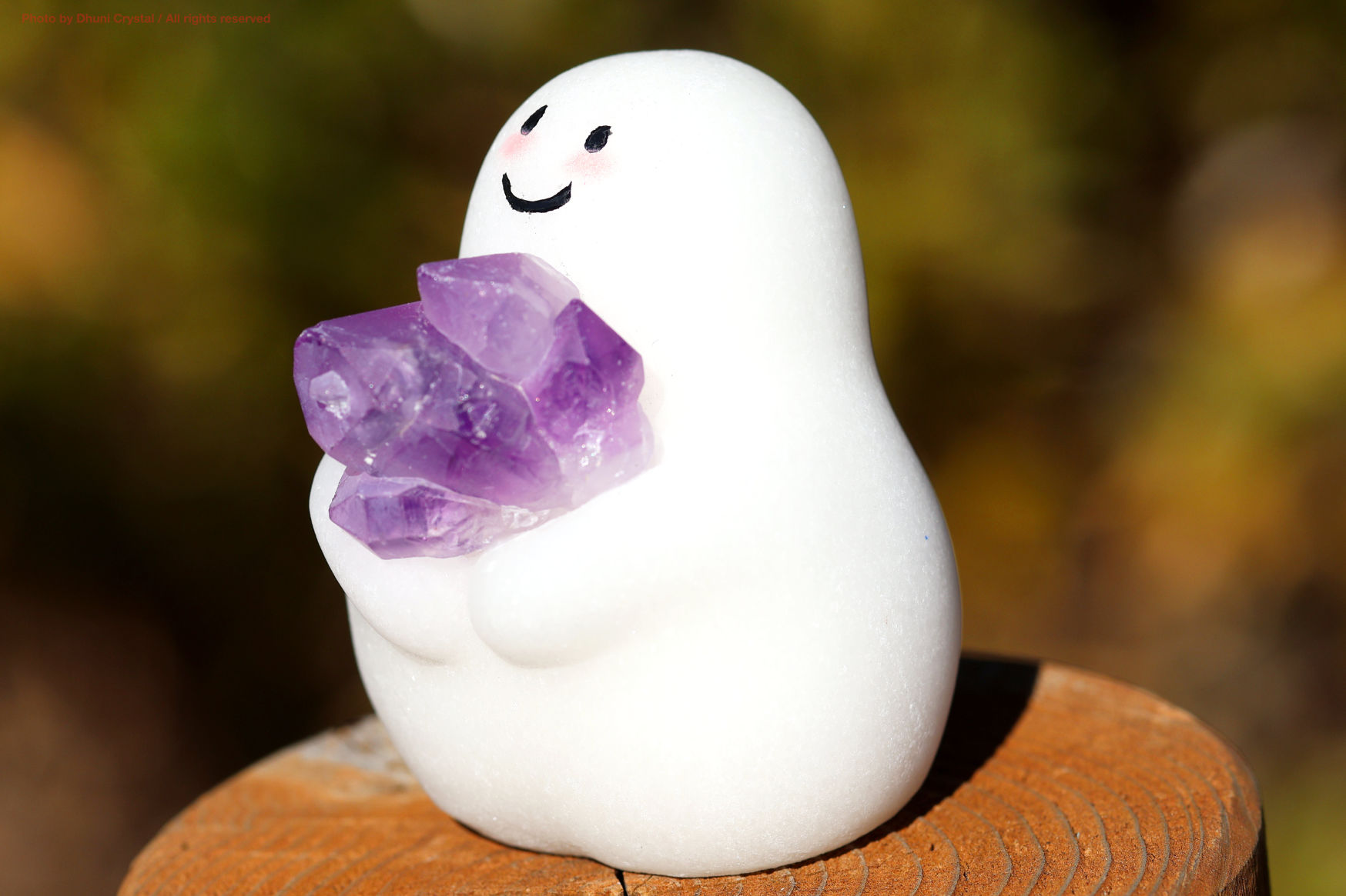 しらたまちゃんの側面写真