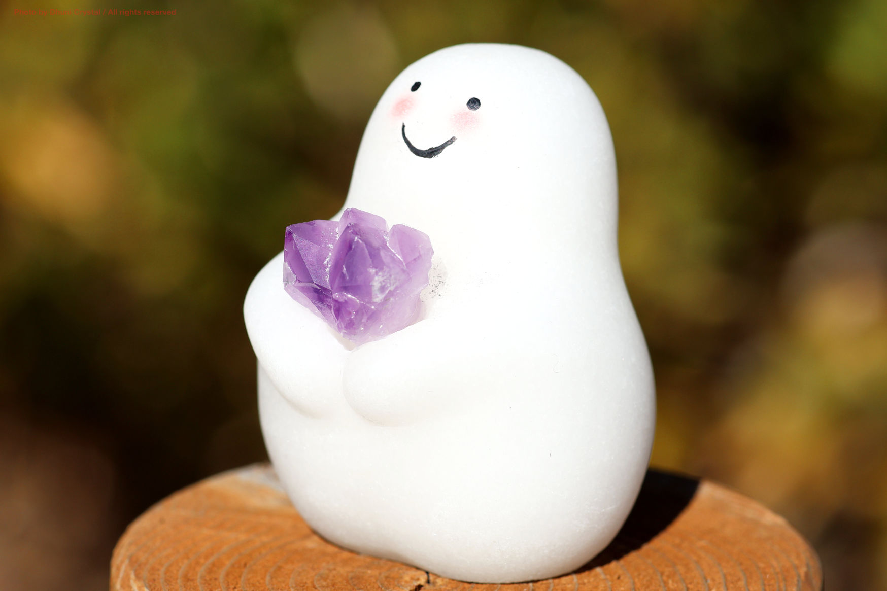 しらたまちゃんの側面写真